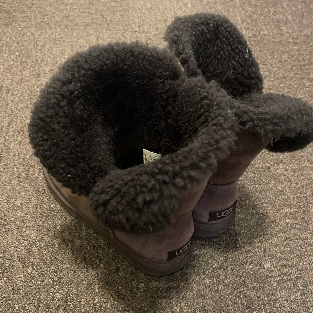 Chocolate Brown Uggs
